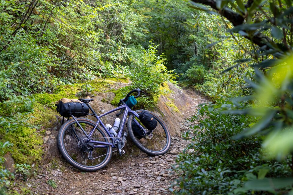 Specialized Diverge Review: Catch 22