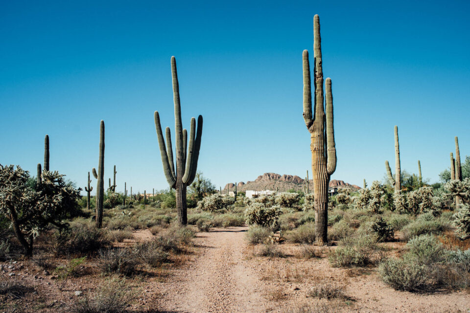 2026 Arizona Trail Race