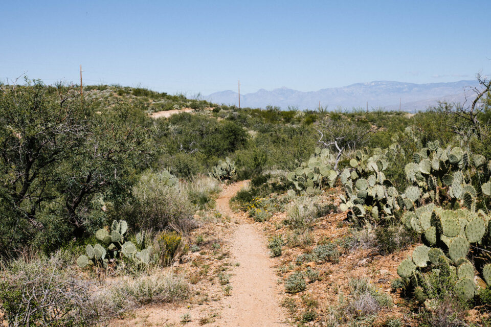 2026 Arizona Trail Race