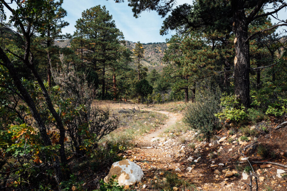 2026 Arizona Trail Race