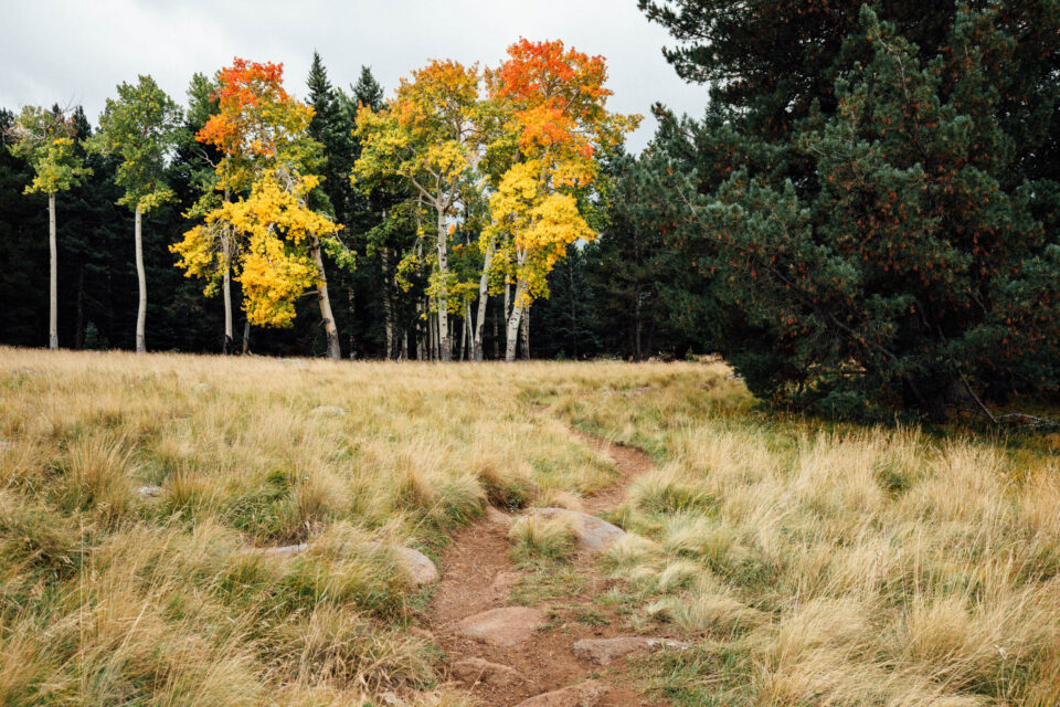 2026 Arizona Trail Race
