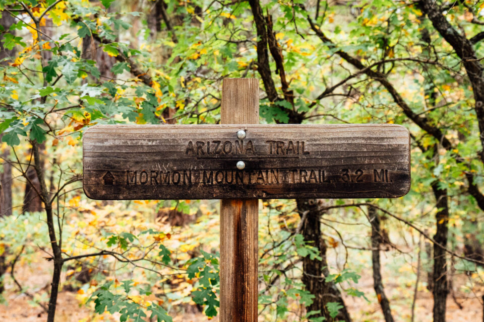 2026 Arizona Trail Race