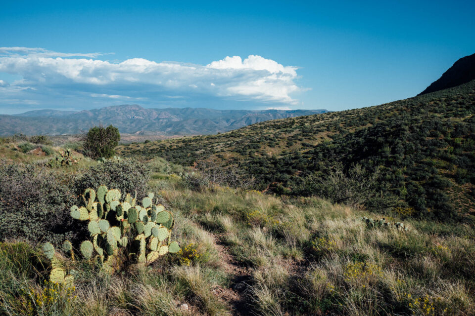 2026 Arizona Trail Race