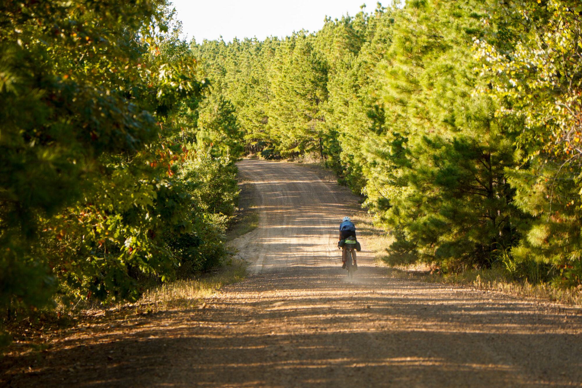 2026 arkansas high country race update