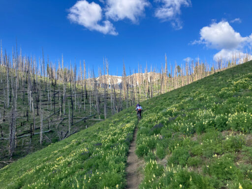 Idaho Gem Bikepacking Route