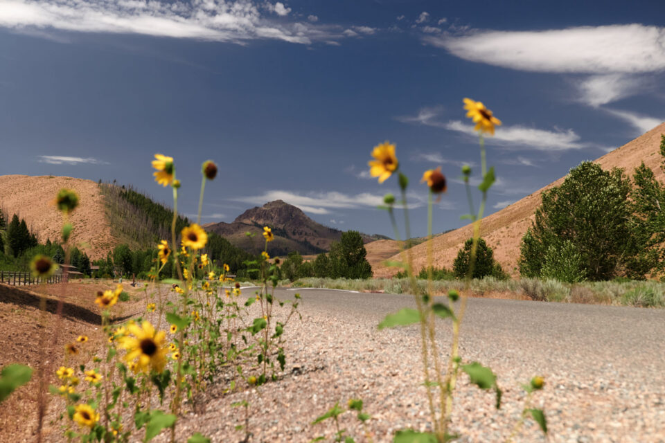 Idaho Gem Bikepacking Route, Chris Wilson