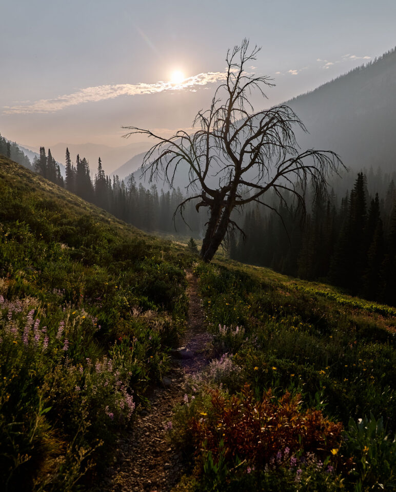 Idaho Gem Bikepacking Route, Chris Wilson