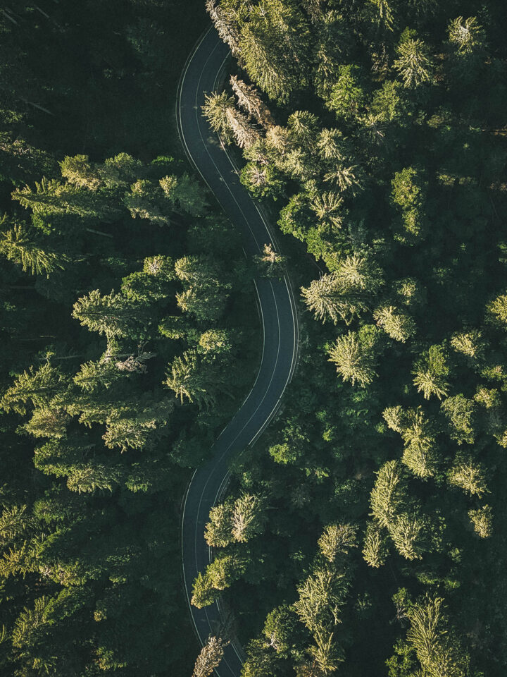 Bikepacking Rhodope Mountains