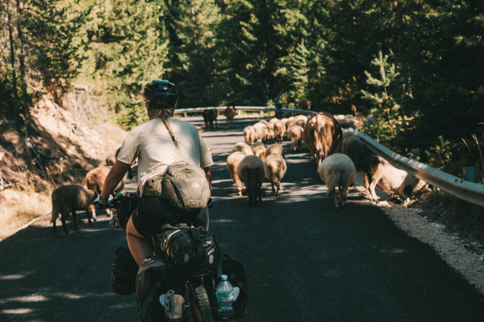 Bikepacking Rhodope Mountains