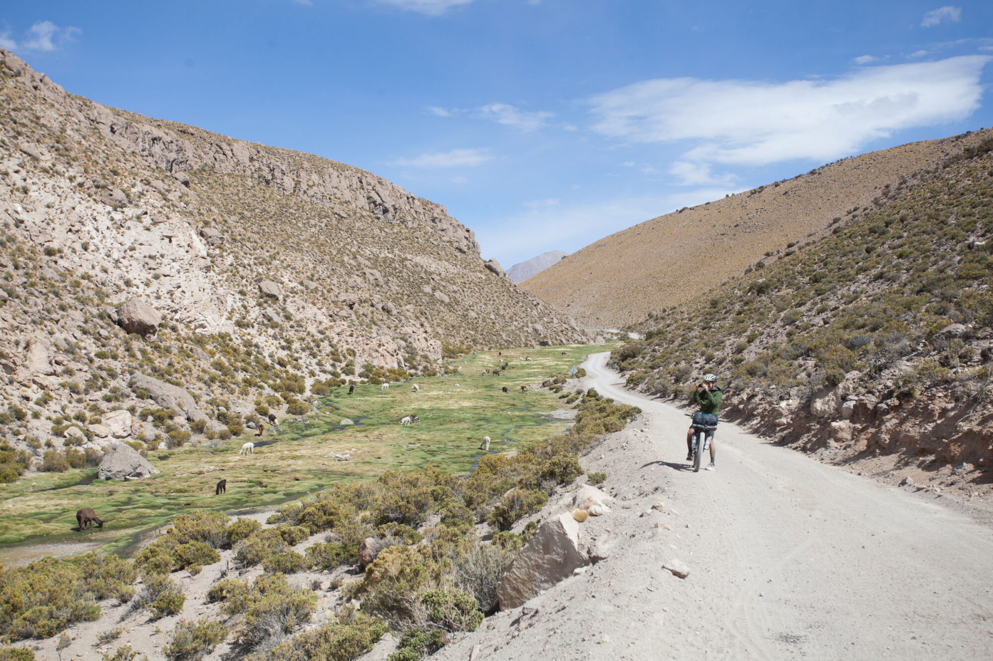 Ruta de las Vicunas Clotaire