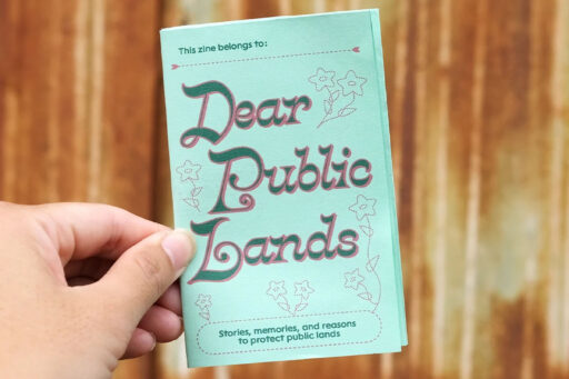 dear public lands zine