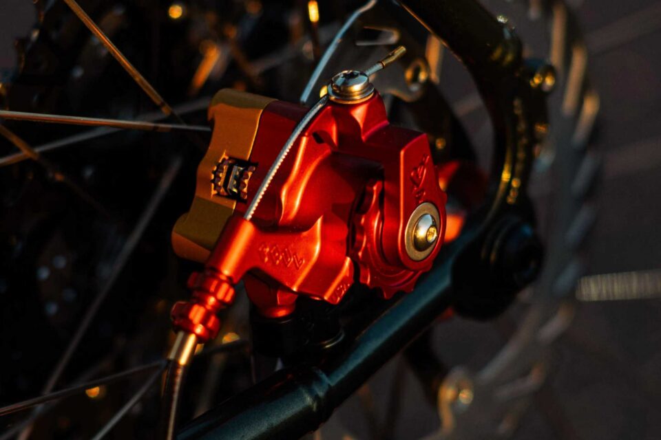 Paul x Simworks Sunset Collection
