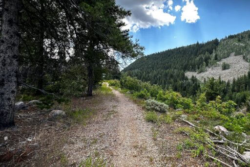 R Uinta This Bikepacking Route
