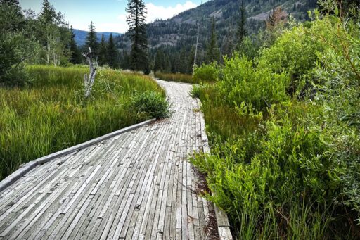 R Uinta This Bikepacking Route