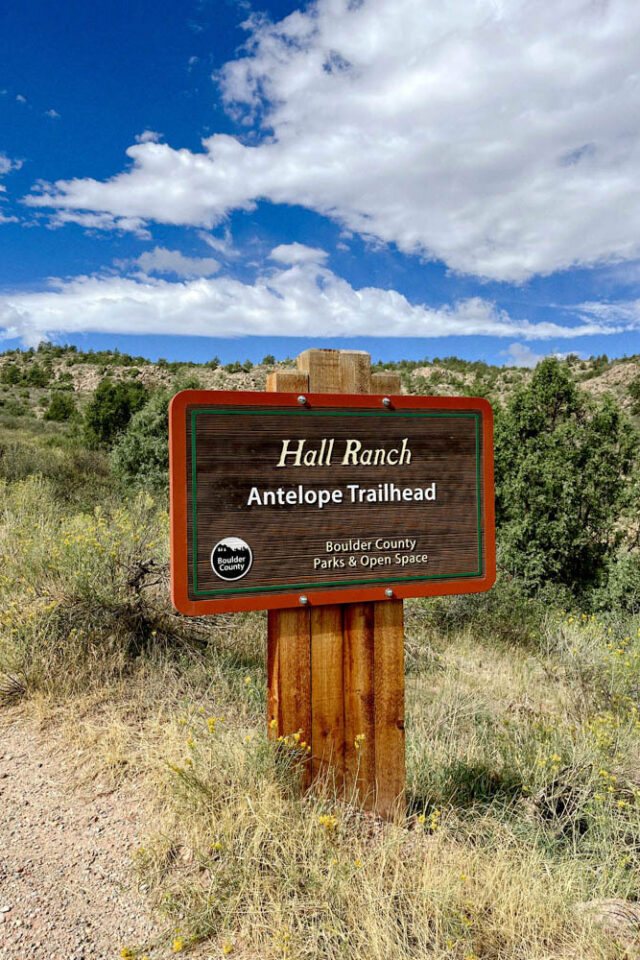 reeb hall pass review