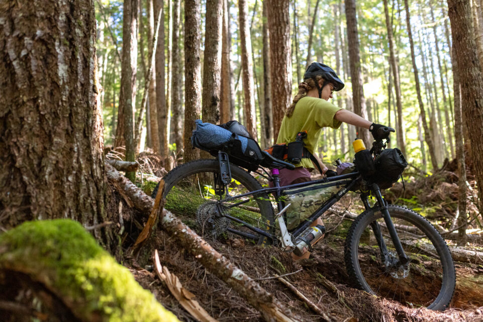 Rogue Panda DoubleTrack Review
