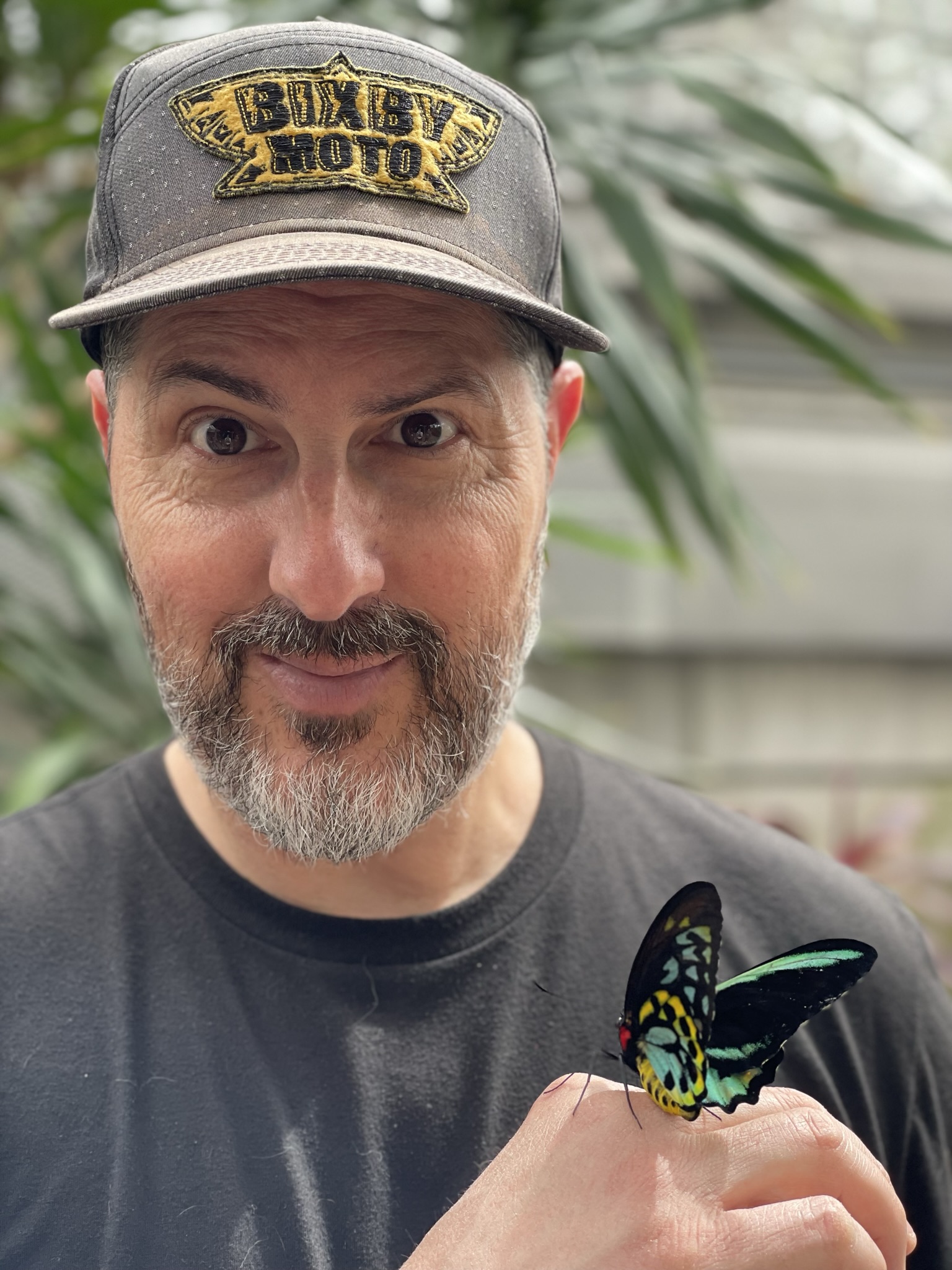 Dan R.