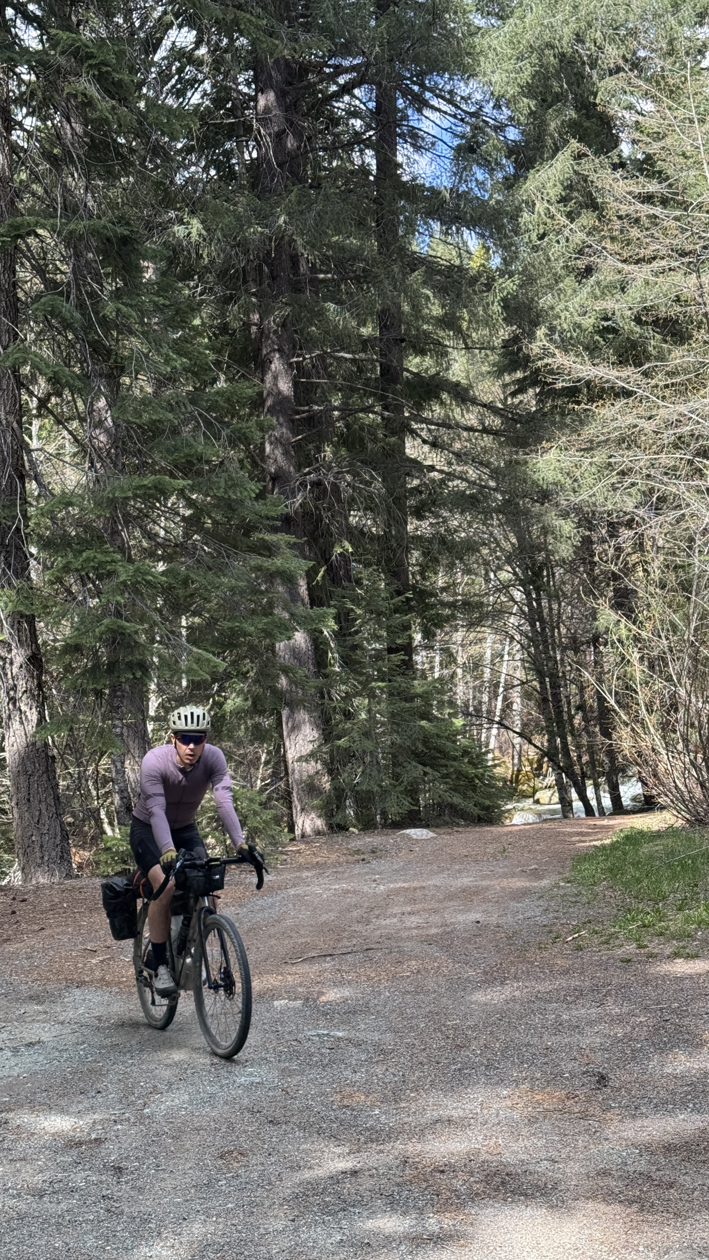 Tumbleweed Titanium Pannier Rack 355mm - BIKEPACKING.com